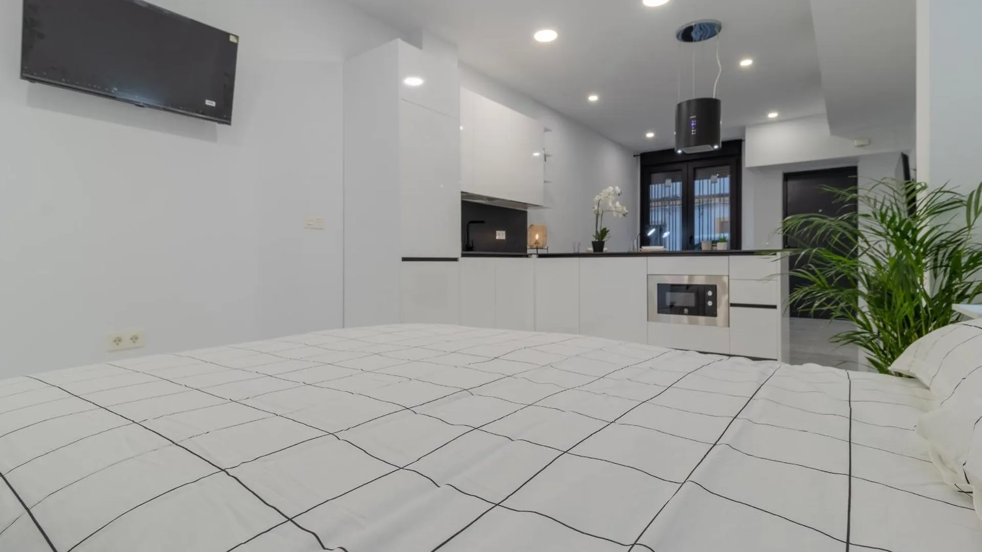 Loft Danielhome Cordoba Apartment